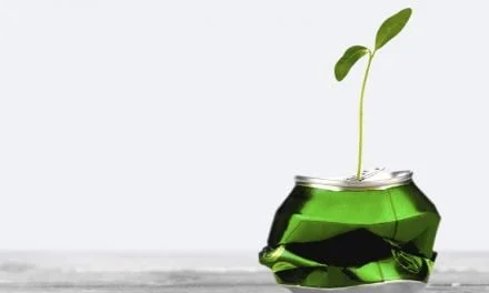 How Demand for Sustainability is Transforming Food Packaging