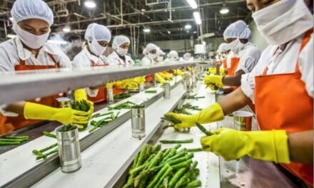 How to Get Government Subsidy for Small Food Business in India