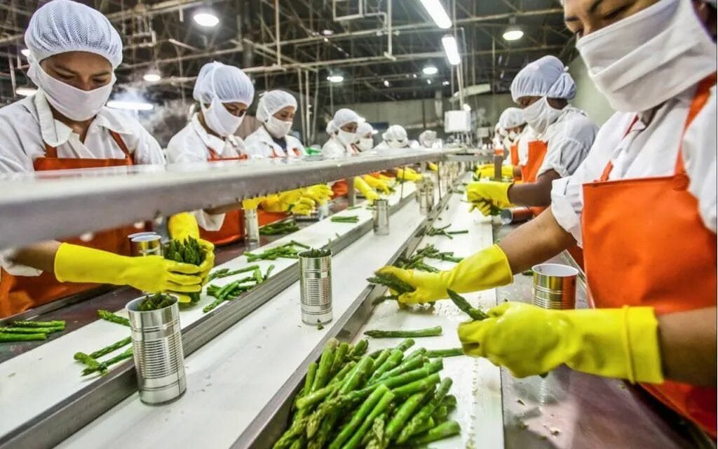 How to Get Government Subsidy for Small Food Business in India