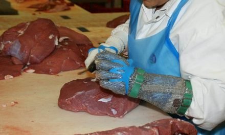 Sustainability in Meat Industry: IFFA 2022 Theme