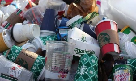 Innovative Ideas for Single Use Plastic Substitution