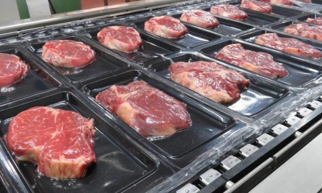 Recent Trends in Packaging of Meat and Meat Products