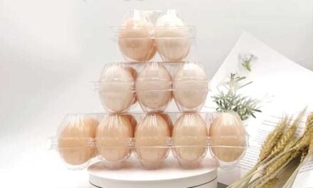 Rise of Smart and Sustainable Recycled Plastic Egg Tray