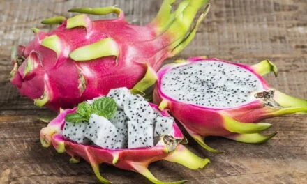 National Conclave on Dragon fruit held