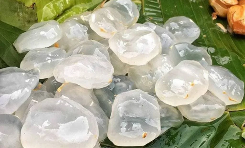 Value Addition of Palmyra Palm Products nungu