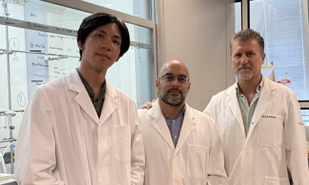 Transforming waste by-product oilseed meals into water filters