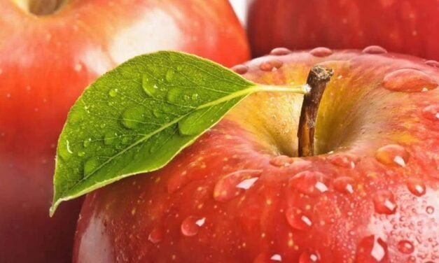 Role of Edible Films and Coatings in Food Industry-II