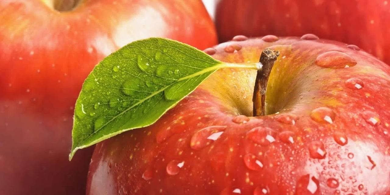 Role of Edible Films and Coatings in Food Industry-II