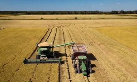 McCain Foods released its Sustainability Report