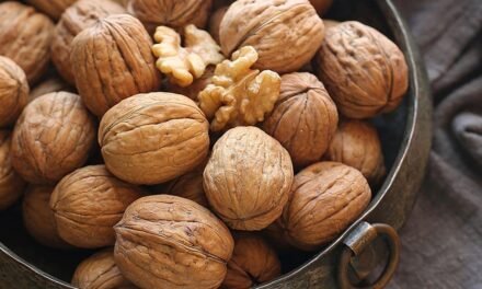 Walnuts may Fend off Stress-related Negative Impacts in Students: New Study