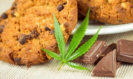 Hong Kong bans cannabidiol (CBD), businesses forced to close or reform