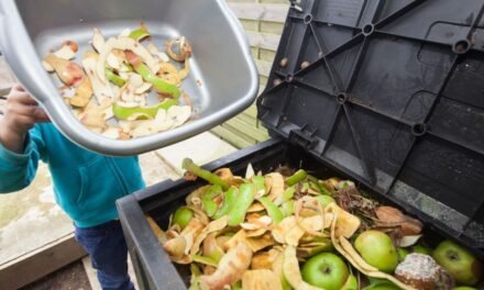 Scientists Spin Food Processing Waste Into “Gold”