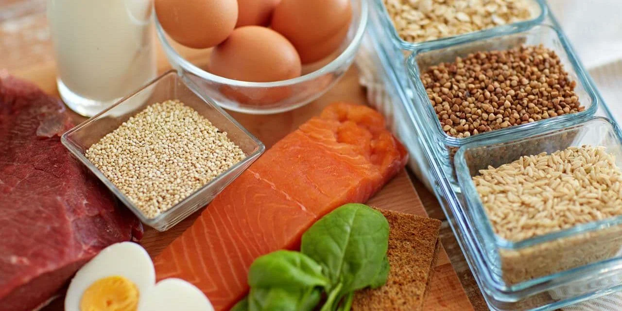 Leading Brands and Industry Associations Rally Behind Protein Day 2023