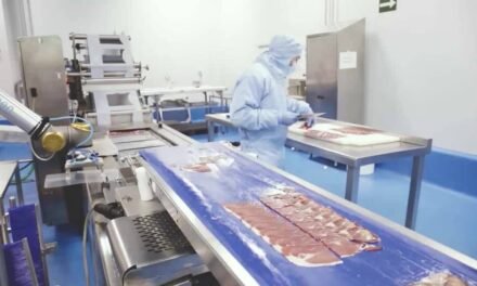 How Cobots are Revamping the F&B Industry?