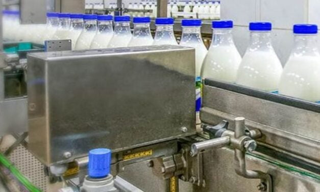 Top 10 Dairy Companies in India