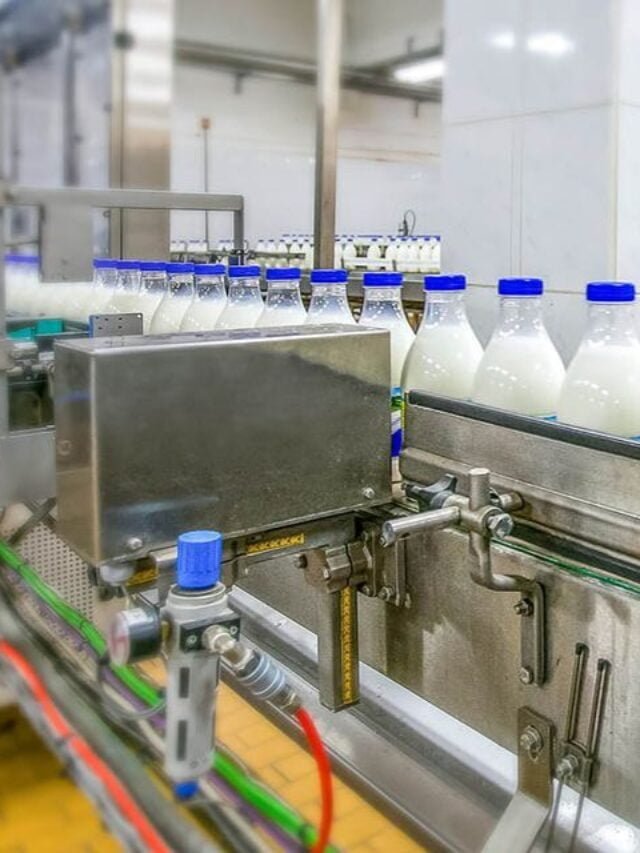 Top 10 Dairy Companies in India