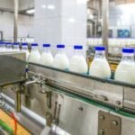 Top 10 Dairy Companies in India