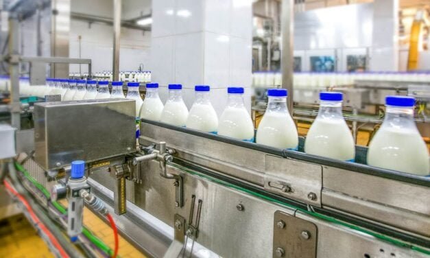 Top 10 Dairy Companies in India