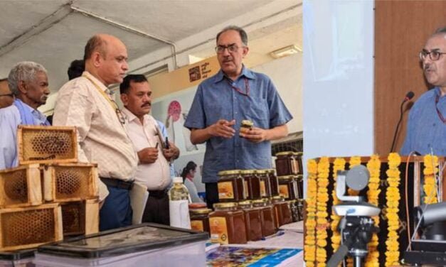 National Workshop on Technological Interventions in Beekeeping