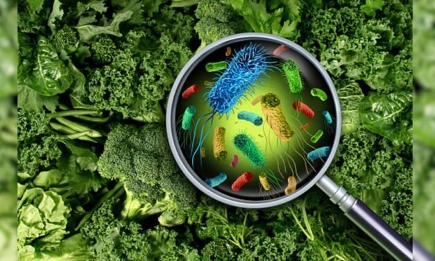 How Contamination During Food Processing Occurs?