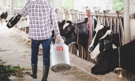USDA Offers Subsidy to Organic Dairy Producers to Cover Increased Costs