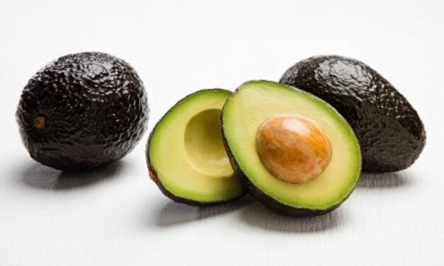Fighting Obesity with Avocados: WAO