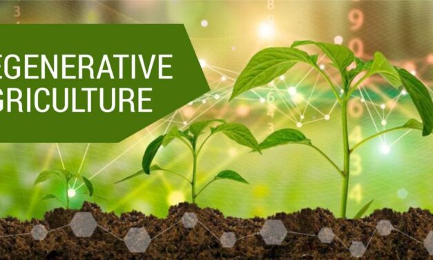 Feeding India with Regenerative Agriculture