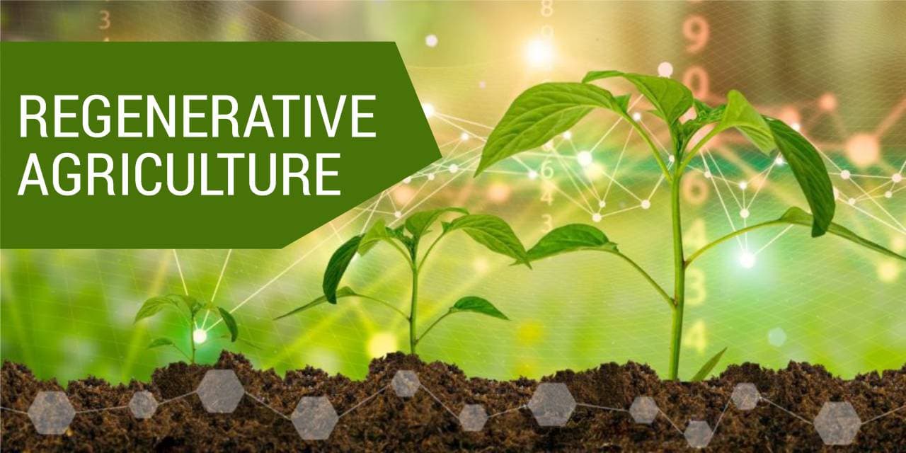 Feeding India with Regenerative Agriculture