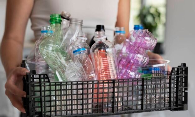 Go Rewise partners with Coca Cola for 100% recycled PET bottles