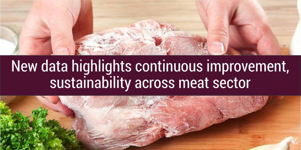 Data Highlights Sustainability in Meat Industry