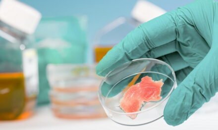 Italy bans production and marketing of cell-based meat