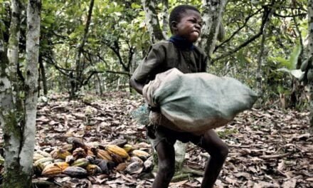EU moves to ban products made with forced labour
