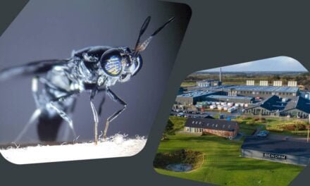 Arla Foods Ingredients and ENORM team up to harness upcycling power of insects