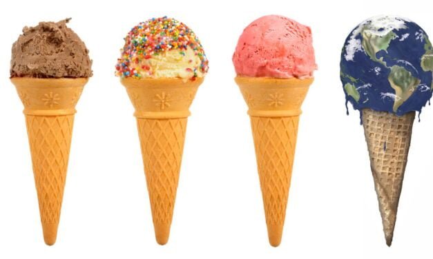 Sustainability Efforts by Ice Cream Brands: A New Trend
