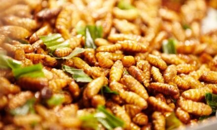 CSRTI and CFTRI team-up to develop food products from silkworm pupae