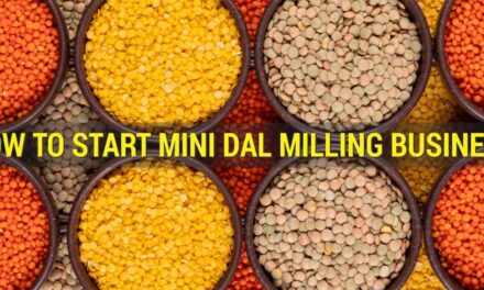 How to Start a Profitable Mini Dal Milling Business: A Comprehensive Guide