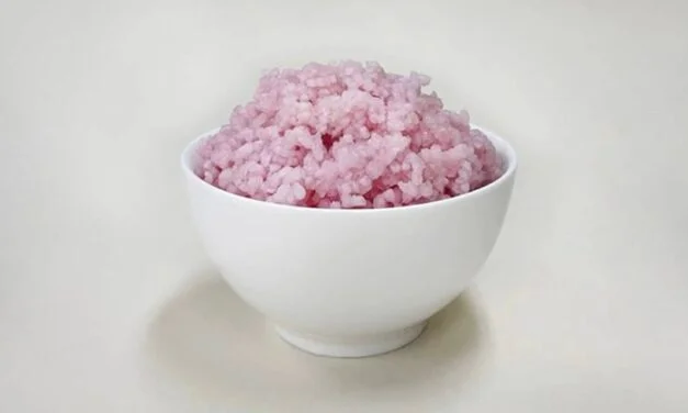 Korean scientists develop ‘meaty rice’ packed with beef muscle and fat cells