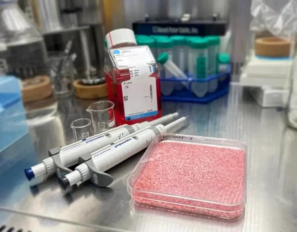 Korean scientists develop ‘meaty rice’ packed with beef muscle and fat cells lab-grown-meaty-rice