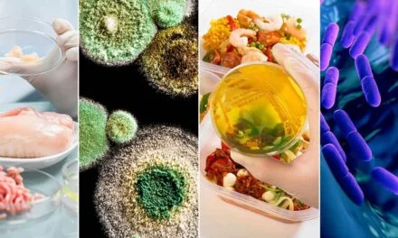 Microbial Food Production: A Sustainable Solution to the Global Food Crisis