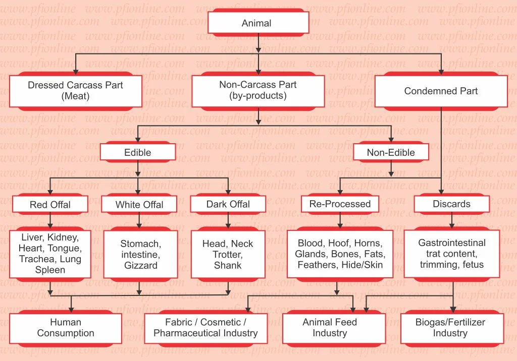 Utility of Animal Byproducts in Cosmetic Industry animal-byproducts-in-cosmetic-industry-chart