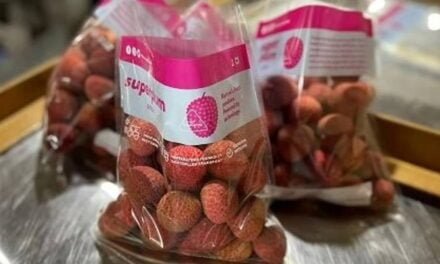 India’s Famous Lychees Get a Modern Avatar