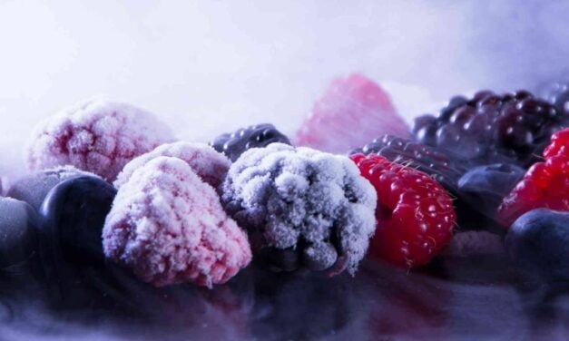 Commercial Freezing Methods Used by Food Industry