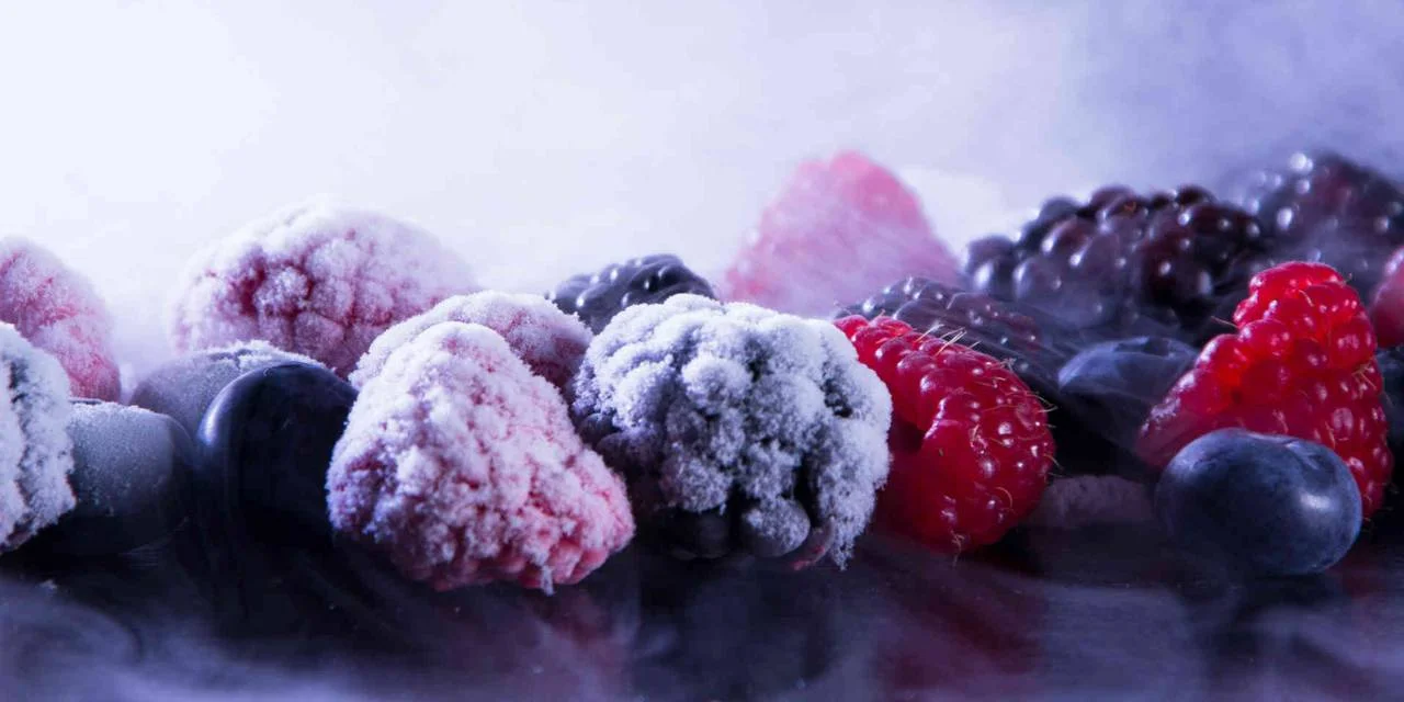 Commercial Freezing Methods Used by Food Industry