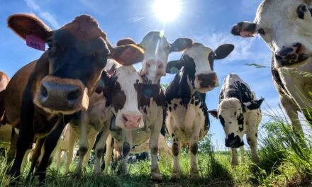 Ajinomoto and Danone Partner to Reduce GHG from Dairy Industry
