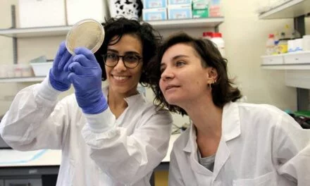 DairyX Pioneers Stretchy, Protein-Rich, Cow-Free Cheese