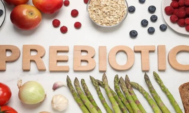 GPA Unveils Updated Definitions and Standards for Prebiotics