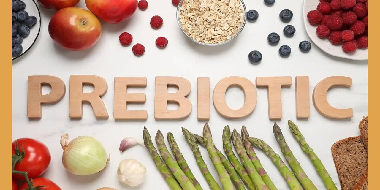 GPA Unveils Updated Definitions and Standards for Prebiotics