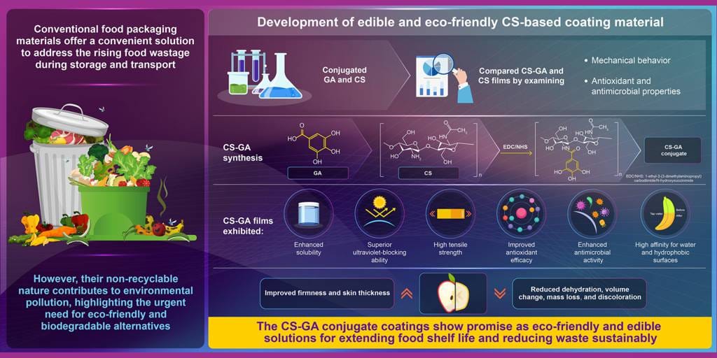 Innovative Edible Biofilm to Combat Food Waste and Boost Freshness edible-biofilm-to-extending-shelf-life