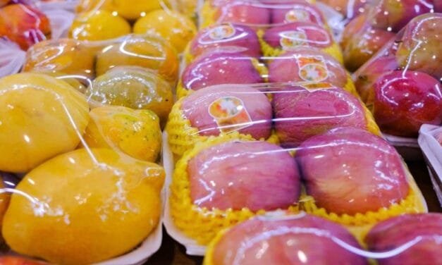 Innovative Edible Biofilm to Combat Food Waste and Boost Freshness