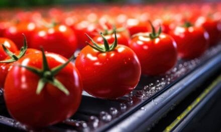 Edible Films and Coatings: Enhancing Food Quality and Shelf Life